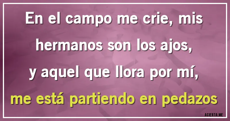 Acertijos - En el campo me crie, mis hermanos son los ajos, y aquel que llora por mí, me está partiendo en pedazos