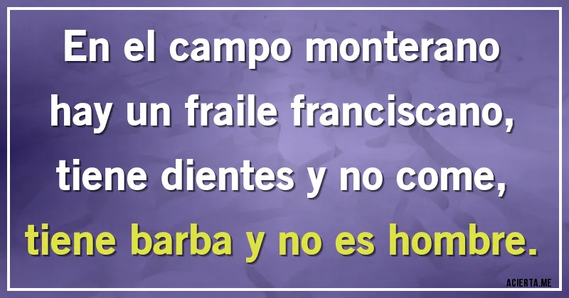 Acertijos - En el campo monterano
hay un fraile franciscano,
tiene dientes y no come,
tiene barba y no es hombre.