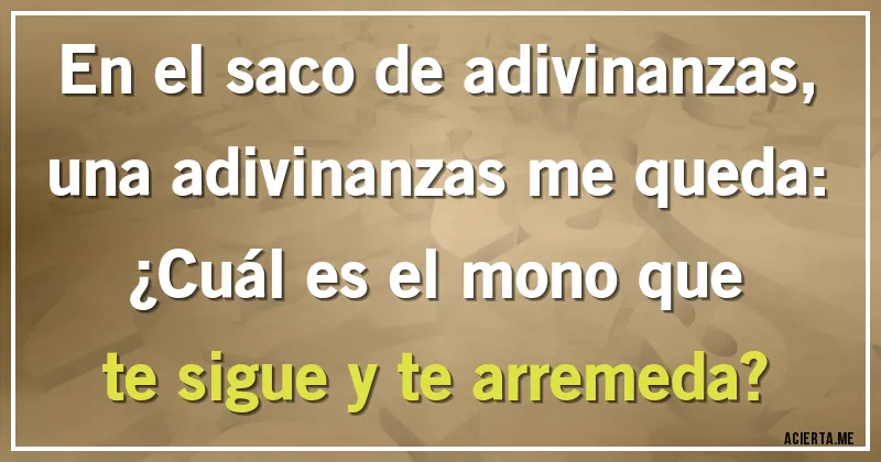 Acertijos - En el saco de adivinanzas, una adivinanzas me queda: 
¿Cuál es el mono que te sigue y te  arremeda?