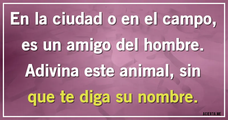 Acertijos - En la ciudad o en el campo, es un amigo del hombre.
Adivina este animal, sin que te diga su nombre.