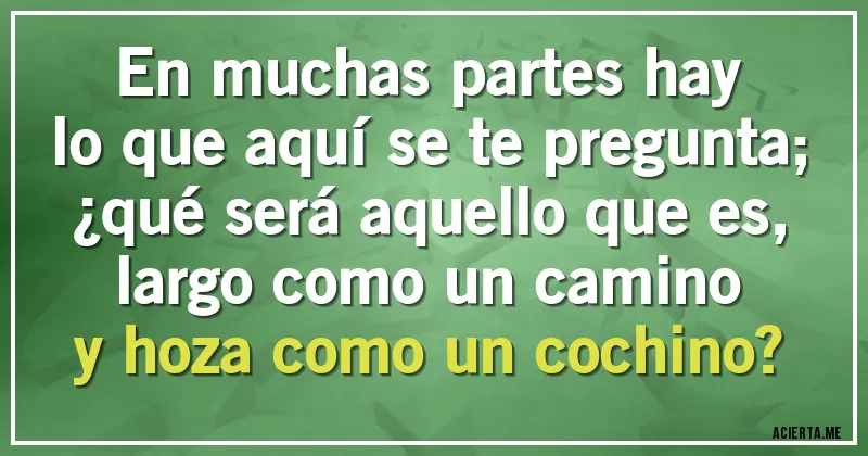 Acertijos - En muchas partes hay
lo que aquí se te pregunta;
¿qué será aquello que es,
largo como un camino
y hoza como un cochino?