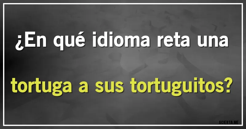 Acertijos - ¿En qué idioma reta una tortuga a sus tortuguitos?