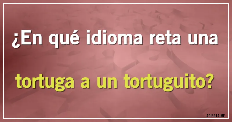 Acertijos - ¿En qué idioma reta una tortuga a un tortuguito?