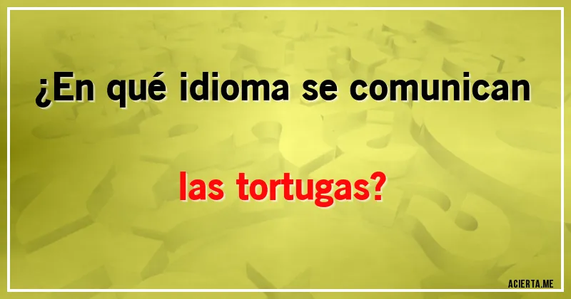 Acertijos - ¿En qué idioma se comunican las tortugas?