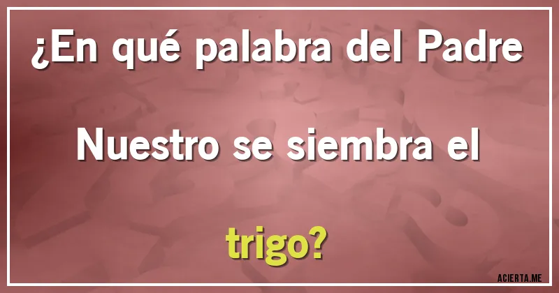Acertijos - ¿En qué palabra del Padre Nuestro se siembra el trigo?