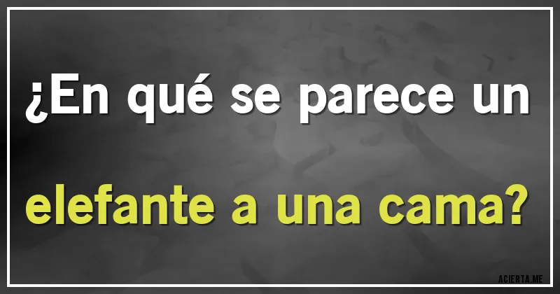 Acertijos - ¿En qué se parece un elefante a una cama?