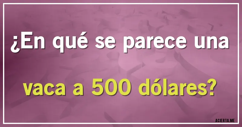 Acertijos - ¿En qué se parece una vaca a 500 dólares?