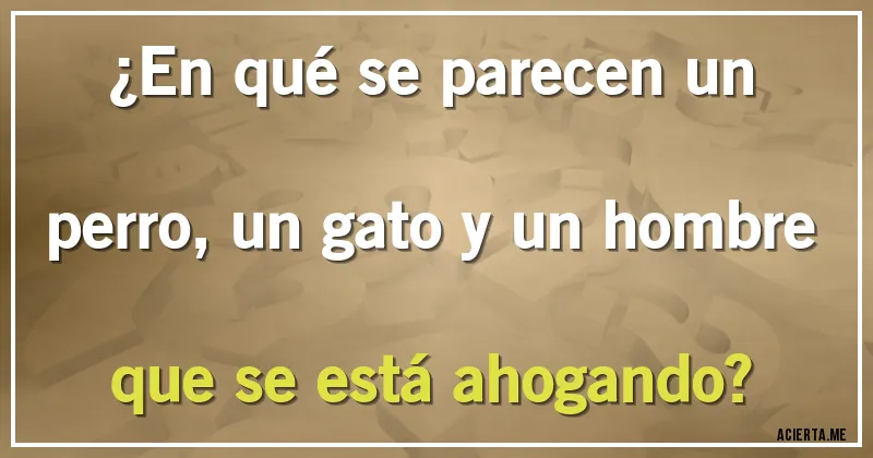 Acertijos - ¿En qué se parecen un perro, un gato y un hombre que se está ahogando?