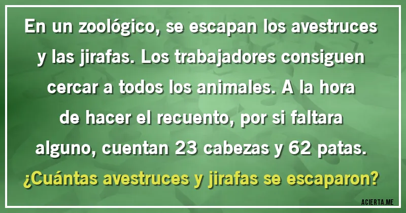 Acertijos - En un zoológico, se escapan los avestruces y las jirafas. Los trabajadores consiguen cercar a todos los animales. A la hora de hacer el recuento, por si faltara alguno, cuentan 23 cabezas y 62 patas. 
¿Cuántas avestruces  y jirafas se escaparon?