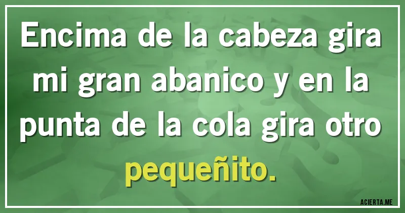 Acertijos - Encima de la cabeza gira mi gran abanico y en la punta de la cola gira otro pequeñito.