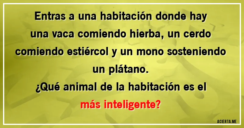 Acertijos - Entras a una habitación donde hay una vaca comiendo hierba, un cerdo comiendo estiércol y un mono sosteniendo un plátano. 
¿Qué animal de la habitación es el más inteligente?
