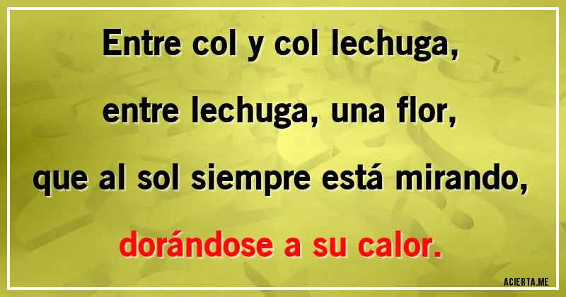 Acertijos - Entre col y col lechuga,
entre lechuga, una flor,
que al sol siempre está mirando,
dorándose a su calor.
