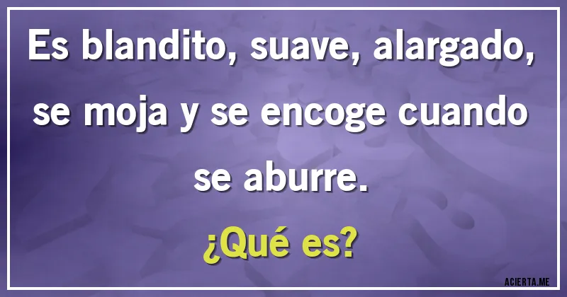 Acertijos - Es blandito, suave, alargado, se moja y se encoge cuando se aburre.
¿Qué es?