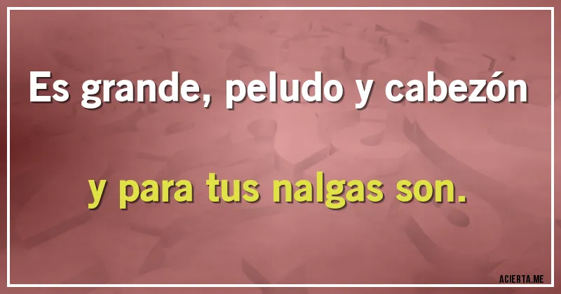 Acertijos - Es grande, peludo y cabezón y para tus nalgas son.
