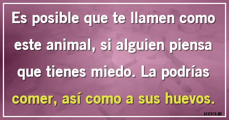 Acertijos - Es posible que te llamen como este animal, si alguien piensa que tienes miedo. La podrías comer, así como a sus huevos.