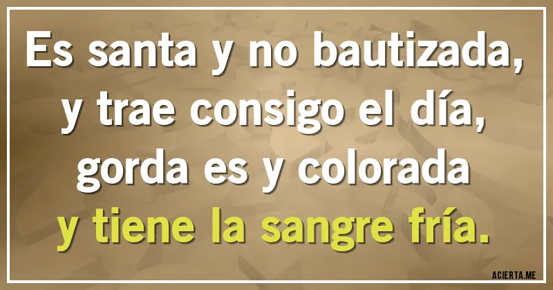 Acertijos - Es santa y no bautizada,
y trae consigo el día,
gorda es y colorada
y tiene la sangre fría.