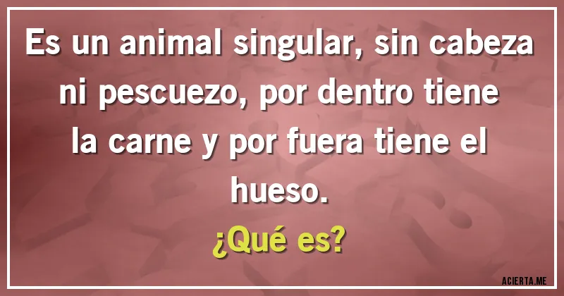Acertijos - Es un animal singular, sin cabeza ni pescuezo, por dentro tiene la carne y por fuera tiene el hueso.
¿Qué es?