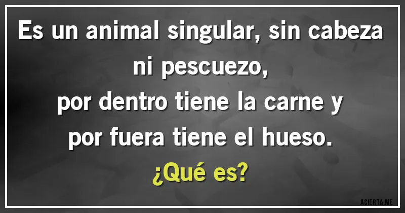 Acertijos - Es un animal singular, sin cabeza ni pescuezo,
por dentro tiene la carne y por fuera tiene el hueso.
¿Qué es?