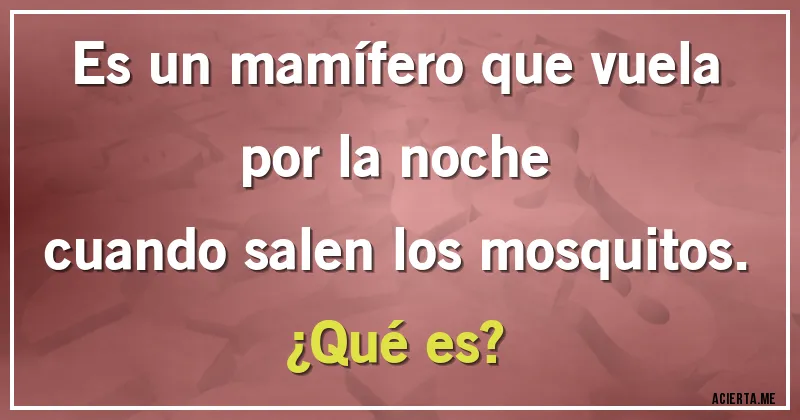 Acertijos - Es un mamífero que vuela por la noche
cuando salen los mosquitos. 
¿Qué es?