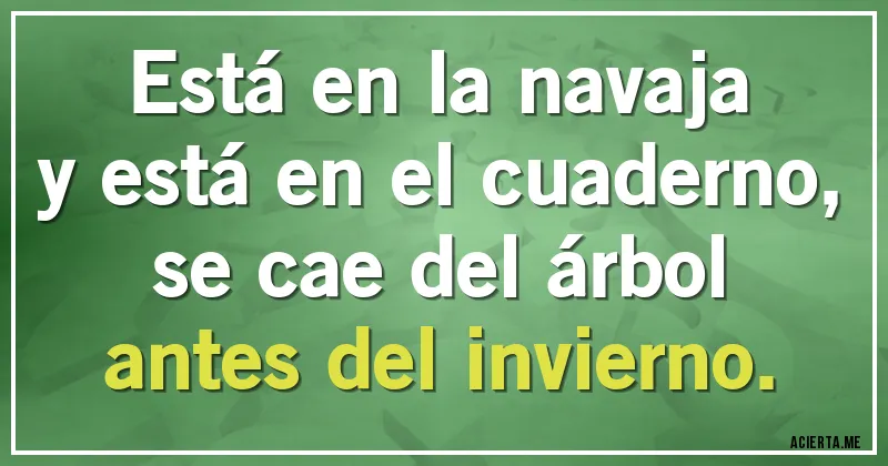 Acertijos - Está en la navaja
y está en el cuaderno,
se cae del árbol
antes del invierno.
