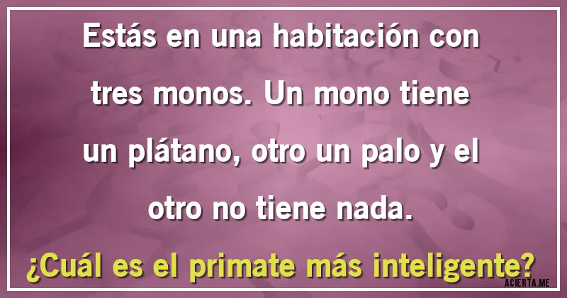 Acertijos - Estás en una habitación con tres monos. Un mono tiene un plátano, otro un palo y el otro no tiene nada.
¿Cuál es el primate más inteligente?