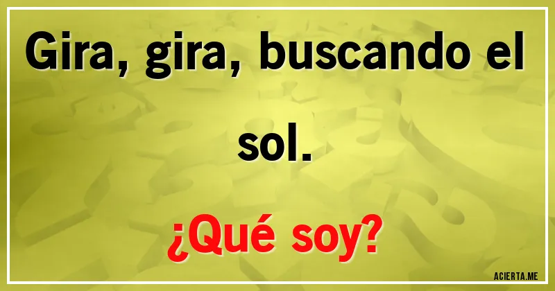 Acertijos - Gira, gira, buscando el sol. 
¿Qué soy?
