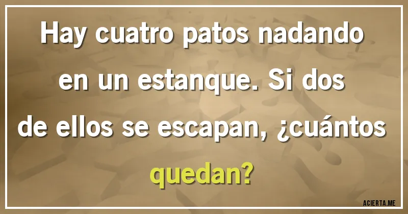 Acertijos - Hay cuatro patos nadando en un estanque. Si dos de ellos se escapan, ¿cuántos quedan?
