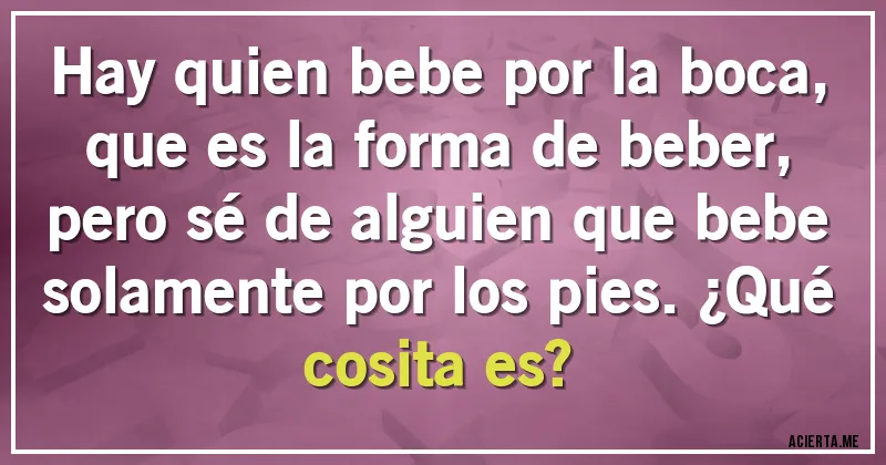 Acertijos - Hay quien bebe por la boca, 
que es la forma de beber, 
pero sé de alguien que bebe solamente por los pies. ¿Qué cosita es?