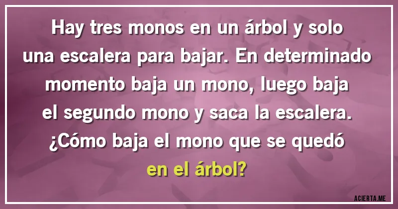 Acertijos - Hay tres monos en un árbol y solo una escalera para bajar. En determinado momento baja un mono, luego baja el segundo mono y saca la escalera.
¿Cómo baja el mono que se quedó en el árbol?