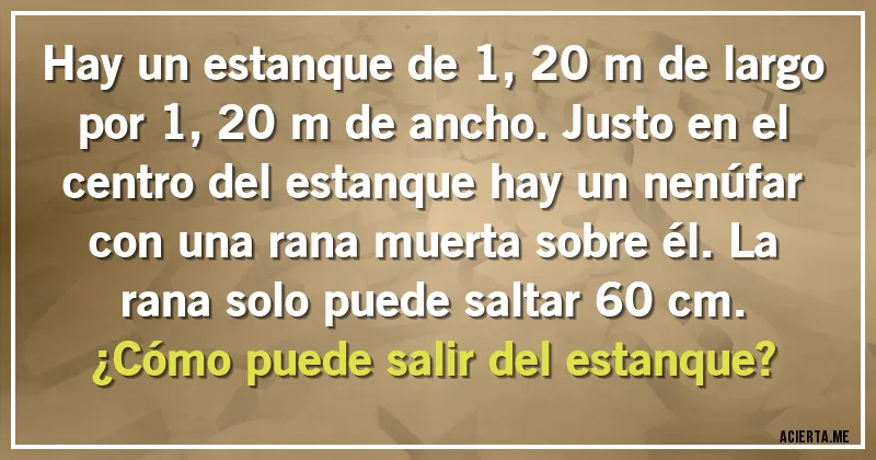 Acertijos - Hay un estanque de 1,20 m de largo por 1,20 m de ancho. Justo en el centro del estanque hay un nenúfar con una rana muerta sobre él. La rana solo puede saltar 60 cm. 
¿Cómo puede salir del estanque?