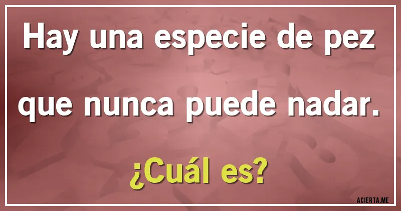 Acertijos - Hay una especie de pez que nunca puede nadar.
¿Cuál es?
