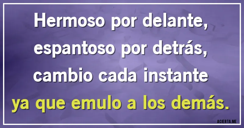 Acertijos - Hermoso por delante, espantoso por detrás, cambio cada instante ya que emulo a los demás.