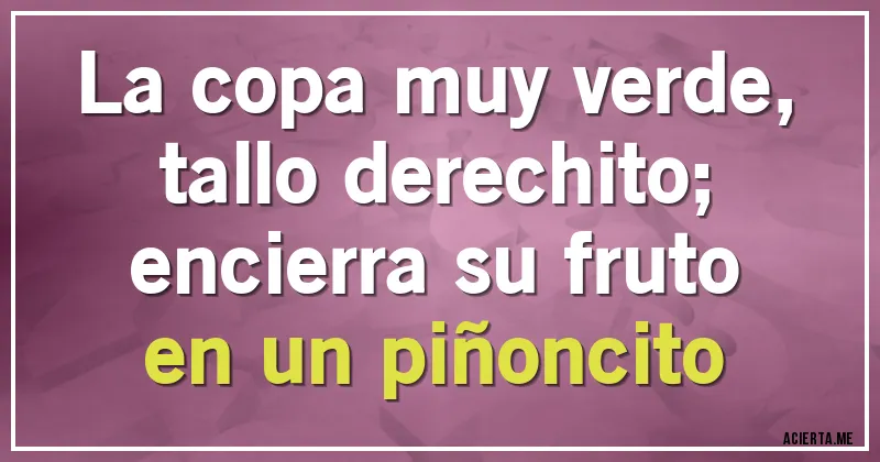 Acertijos - La copa muy verde,
tallo derechito;
encierra su fruto
en un piñoncito