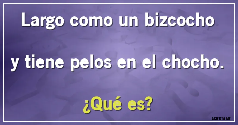 Acertijos - Largo como un bizcocho y tiene pelos en el chocho. 
¿Qué es?