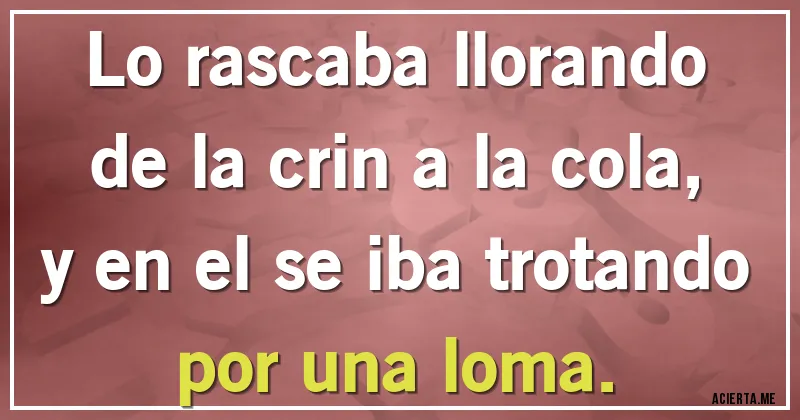 Acertijos - Lo rascaba llorando
de la crin a la cola,
y en el se iba trotando
por una loma.
