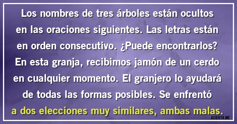 Acertijos - Los nombres de tres árboles están ocultos en las oraciones siguientes. Las letras están en orden consecutivo. ¿Puede encontrarlos? En esta granja, recibimos jamón de un cerdo en cualquier momento. El granjero lo ayudará de todas las formas posibles. Se enfrentó a dos elecciones muy similares, ambas malas.