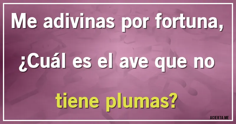 Acertijos - Me adivinas por fortuna,
¿Cuál es el ave que no tiene plumas?