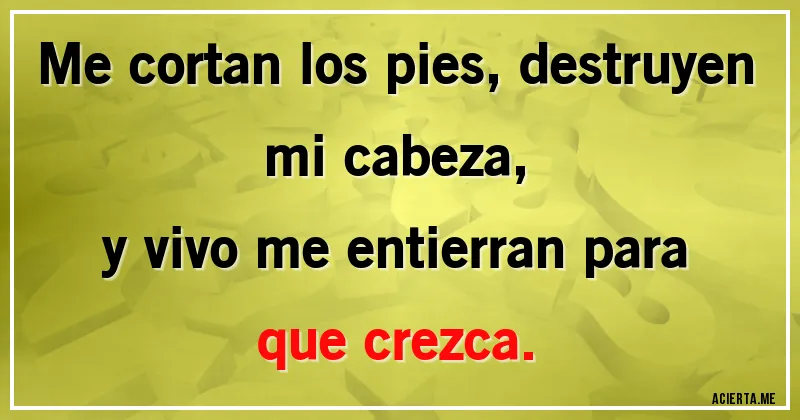 Acertijos - Me cortan los pies, destruyen mi cabeza,
y vivo me entierran para que crezca.