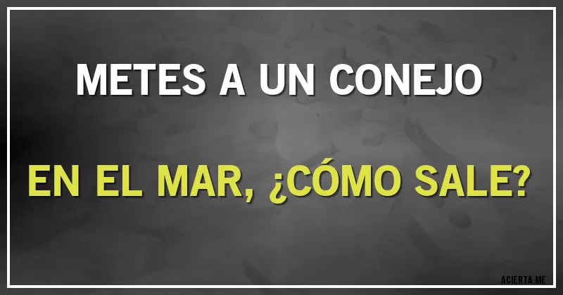 Acertijos - METES A UN CONEJO EN EL MAR, ¿CÓMO SALE?