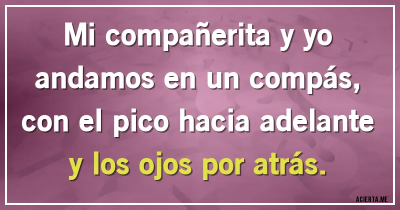 Acertijos - Mi compañerita y yo
andamos en un compás,
con el pico hacia adelante
y los ojos por atrás.