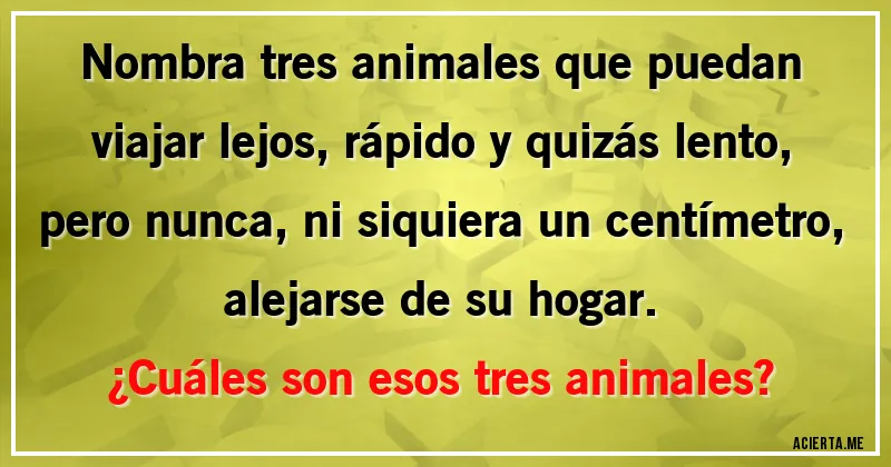 Acertijos - Nombra tres animales que puedan viajar lejos, rápido y quizás lento, pero nunca, ni siquiera un centímetro, alejarse de su hogar.
¿Cuáles son esos tres animales?