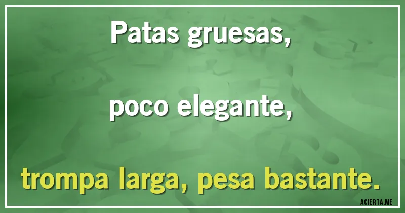 Acertijos - Patas gruesas,
poco elegante,
trompa larga, pesa bastante.