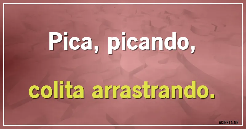 Acertijos - Pica, picando,
colita arrastrando.