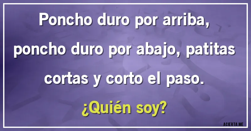 Acertijos - Poncho duro por arriba, poncho duro por abajo, patitas cortas y corto el paso. 
¿Quién soy?