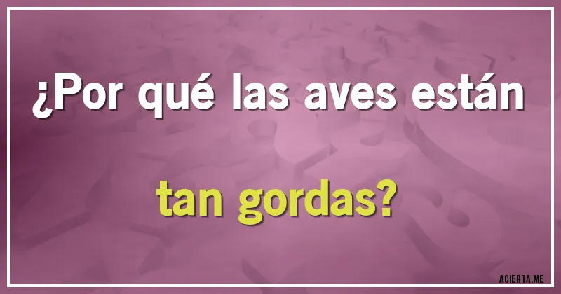 Acertijos - ¿Por qué las aves están tan gordas?