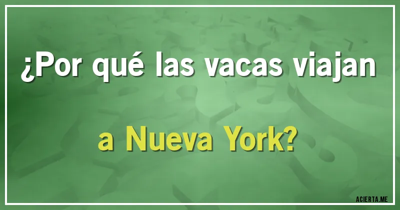 Acertijos - ¿Por qué las vacas viajan a Nueva York?