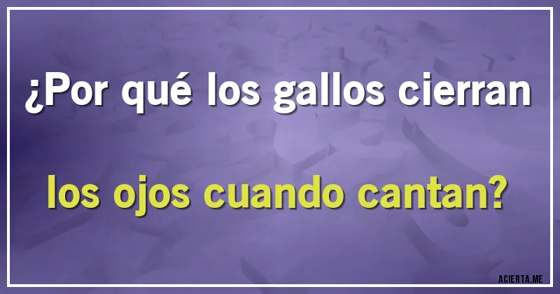 Acertijos - ¿Por qué los gallos cierran los ojos cuando cantan?