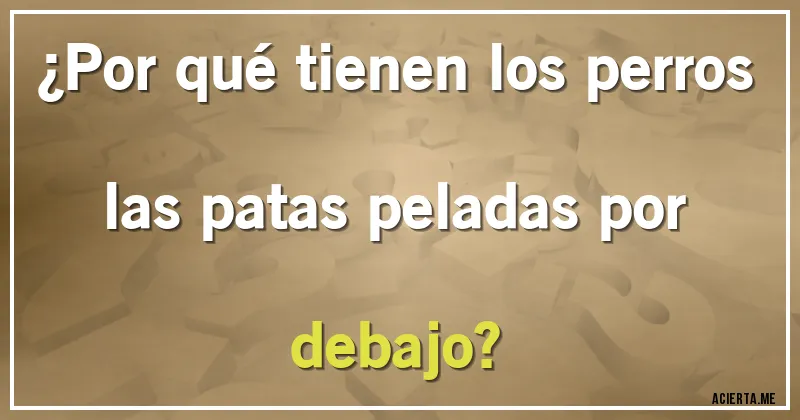 Acertijos - ¿Por qué tienen los perros las patas peladas por debajo?