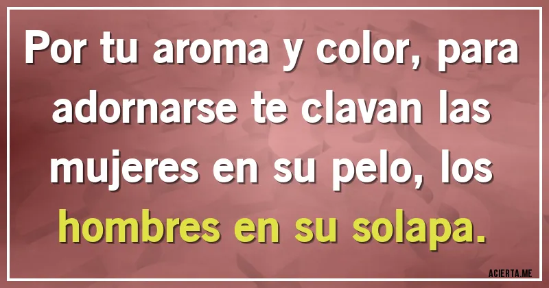 Acertijos - Por tu aroma y color, para adornarse te clavan las mujeres en su pelo, los hombres en su solapa.