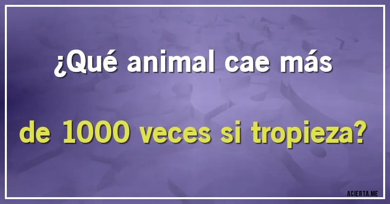 Acertijos - ¿Qué animal cae más de 1000 veces si tropieza?